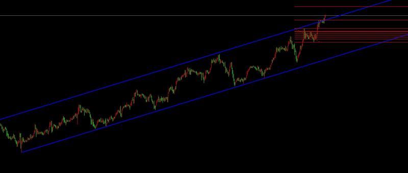 【XM外汇】：2.5黄金持续创新高，后市个人看法(图1)