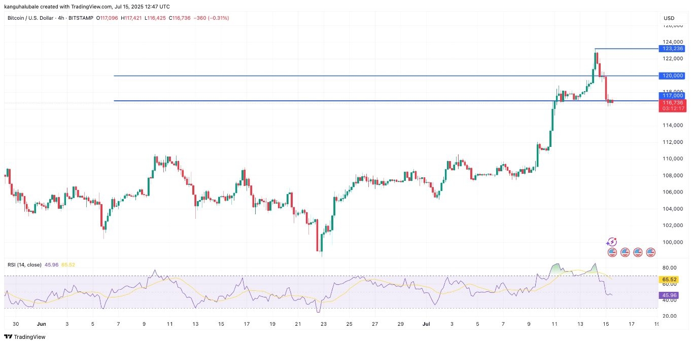 【XM Group】--Bitcoin Price Rally Cools Ahead of US CPI as $120K Becomes Key Level(图5) 【XM Group】--Bitcoin Price Rally Cools Ahead of US CPI as $120K Becomes Key Level(图5)